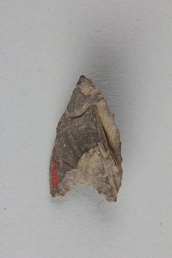 Arrowhead