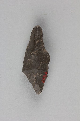 Arrowhead