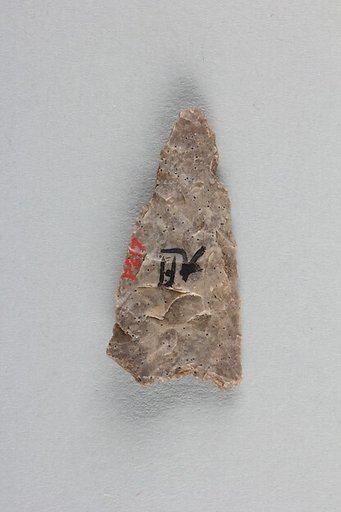 Arrowhead
