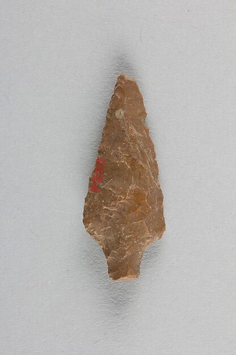 Arrowhead
