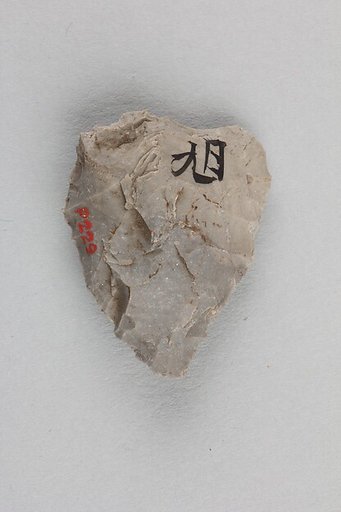 Arrowhead