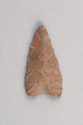 Arrowhead