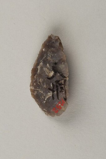 Arrowhead