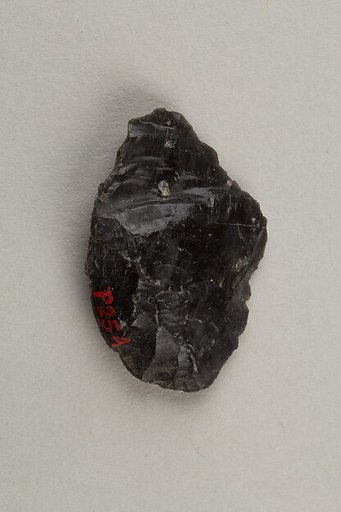 Arrowhead