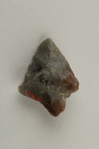 Arrowhead