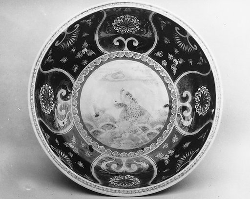 Dish