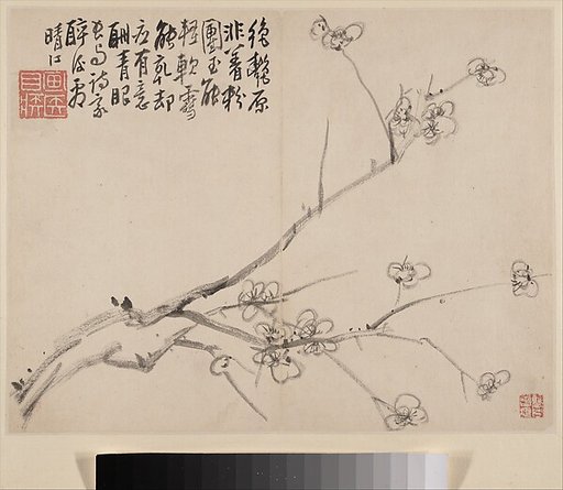 Album of Blossoming Plum