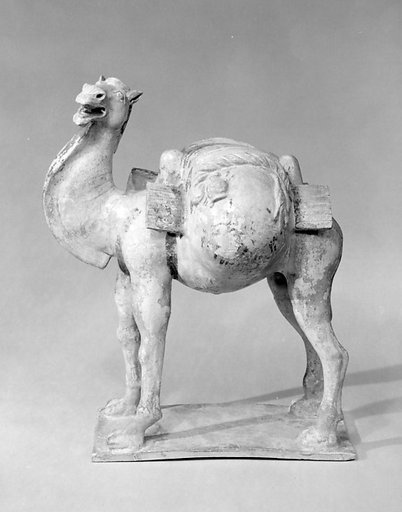 Camel with saddle bags