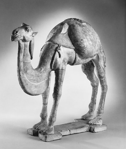 Camel with saddle bags