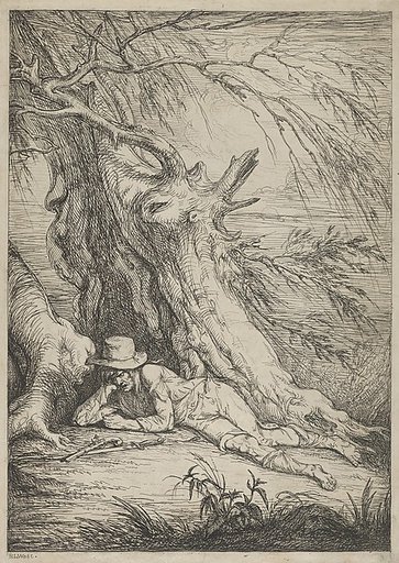 Bandit Beneath a Tree
