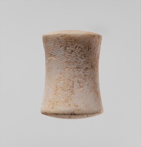 Shell pestle/polisher