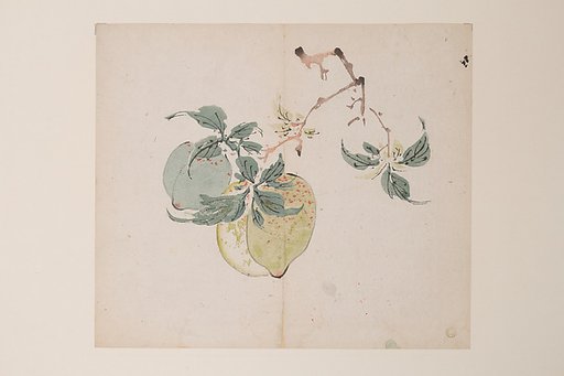 Page from the Ten Bamboo Studio Manual of Painting and Calligraphy