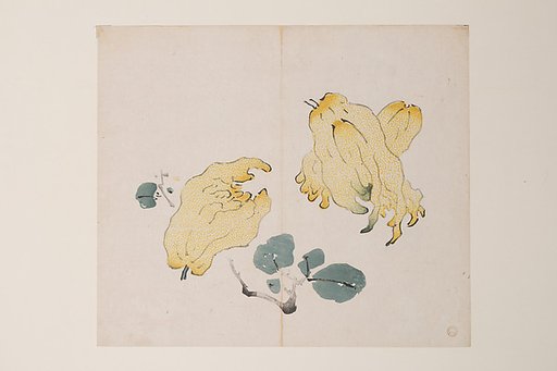 Page from the Ten Bamboo Studio Manual of Painting and Calligraphy
