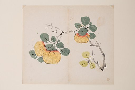 Page from the Ten Bamboo Studio Manual of Painting and Calligraphy