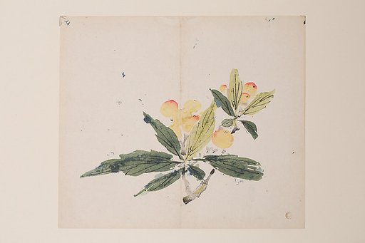 Page from the Ten Bamboo Studio Manual of Painting and Calligraphy