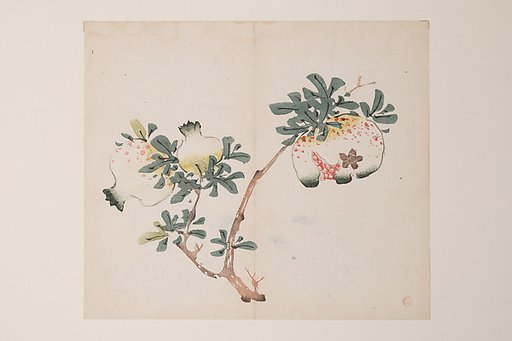 Page from the Ten Bamboo Studio Manual of Painting and Calligraphy