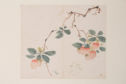 Page from the Ten Bamboo Studio Manual of Painting and Calligraphy