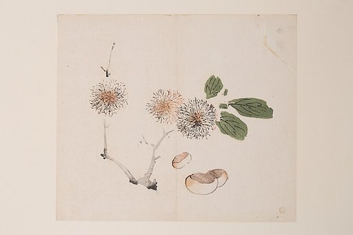 Page from the Ten Bamboo Studio Manual of Painting and Calligraphy