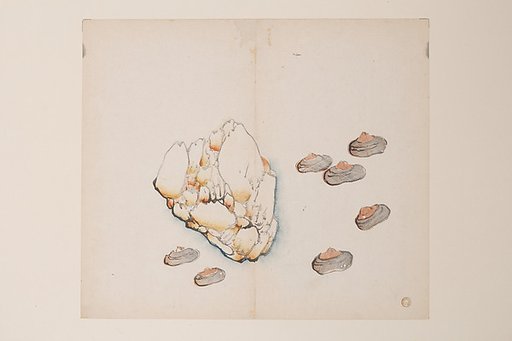 Page from the Ten Bamboo Studio Manual of Painting and Calligraphy