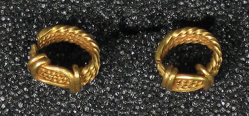 Pair of Earrings, Pennanular Hoop