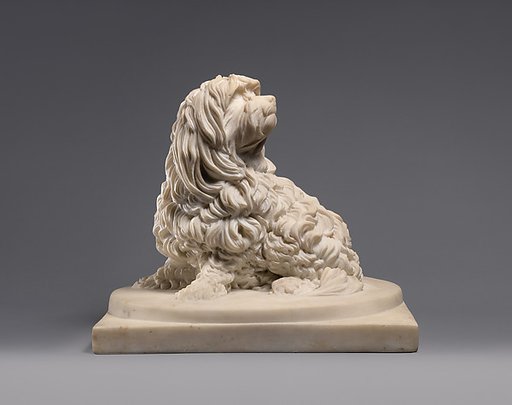 Shock Dog (nickname for a dog of the Maltese breed)