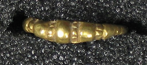 Ring Cast, Incised, and Notched