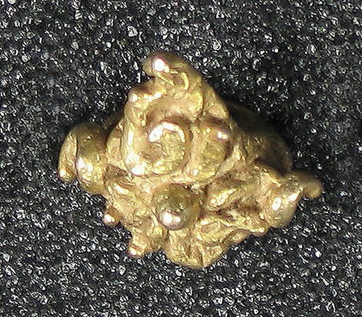 Earring with Foliate Decoration