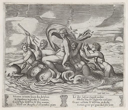 Plate 16: A white bird tells Psyche of Cupid's illness, as she rides dolphins on the sea accompanied by tritons and nereids, from "The Story of Cupid and Psyche as told by Apuleius"