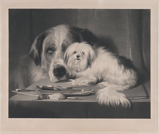 The Lion-Dog of Malta—The Last of His Tribe
