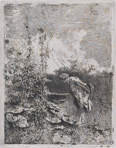 The botanist:  a man in a garden examining its contents
