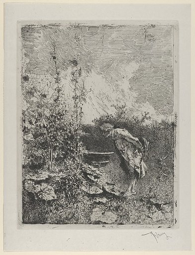 The botanist:  a man in a garden examining its contents