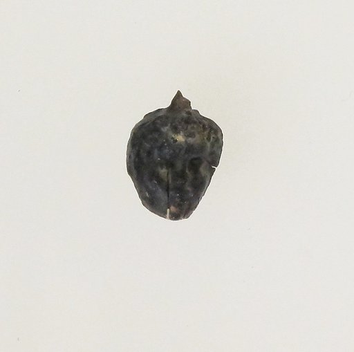 Glass pendant in the form of a Black African's head