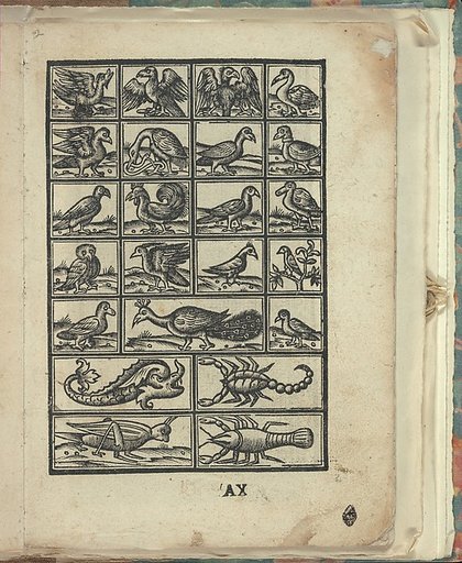 Opera Nova Universali intitulata Corona di racammi, page 21 (recto)