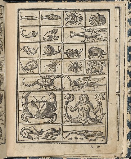 Essempio di recammi, page 11 (recto)
