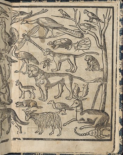 Essempio di recammi, page 13 (recto)