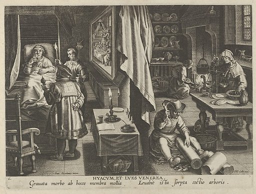 New Inventions of Modern Times [Nova Reperta], The Discovery of Guaicum as a Cure for Veneral Infection, plate 6