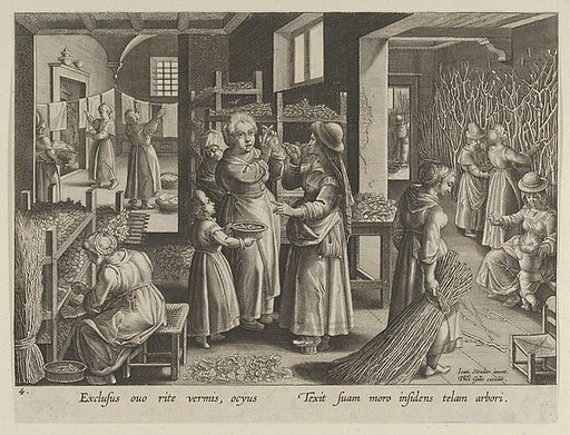 The Silkworm Eggs Spread Out On Shelves, Plate 4 from "The Introduction of the Silkworm" [Vermis Sericus]