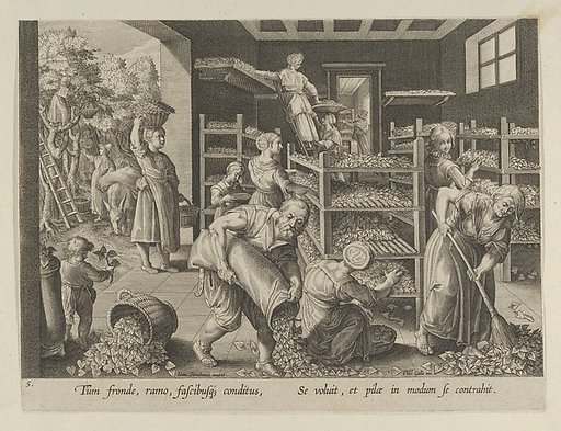 The Gathering of Mulberry Leaves and the Feeding of the Silkworms, Plate 5 from "The Introduction of the Silkworm" [Vermis Sericus]