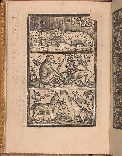 Convivio delle Belle Donne, page 11 (verso)