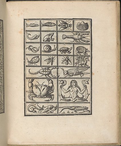 Trionfo Di Virtu. Libro Novo..., page 23 (verso)