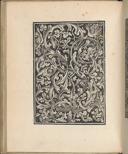 Trionfo Di Virtu. Libro Novo..., page 27 (recto)