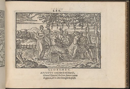 La Vera Perfettione del Disegno di varie sorti di recami, page 23 (recto)