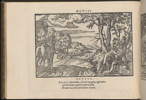 La Vera Perfettione del Disegno di varie sorti di recami, page 24 (verso)