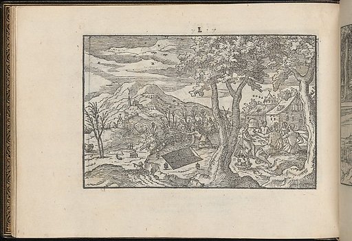 La Vera Perfettione del Disegno di varie sorti di recami, page 25 (verso)