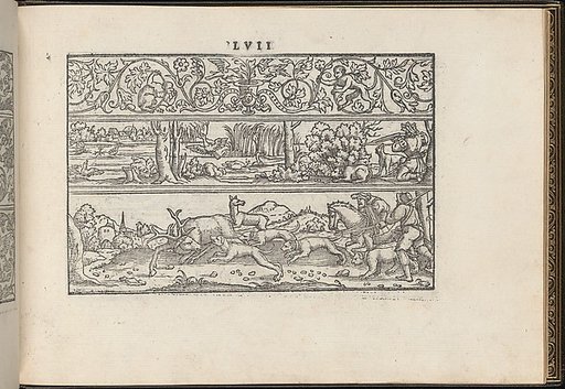 La Vera Perfettione del Disegno di varie sorti di recami, page 29 (recto)