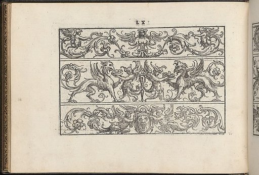 La Vera Perfettione del Disegno di varie sorti di recami, page 30 (verso)