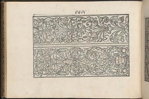 La Vera Perfettione del Disegno di varie sorti di recami, page 31 (verso)