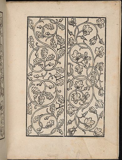 Ein new Modelbuch..., page 4 (verso)