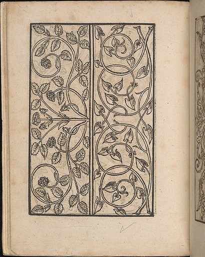 Ein new Modelbuch..., page 10 (verso)