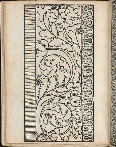 Ein new Modelbuch..., page 13 (verso)